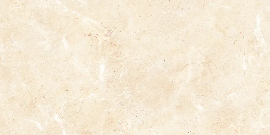 63702