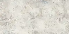 阿萊奇