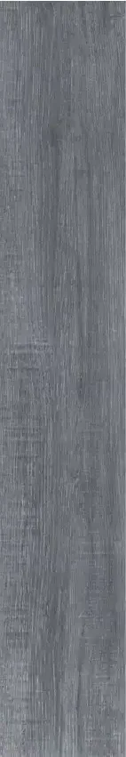 思達吉黑(20*120)