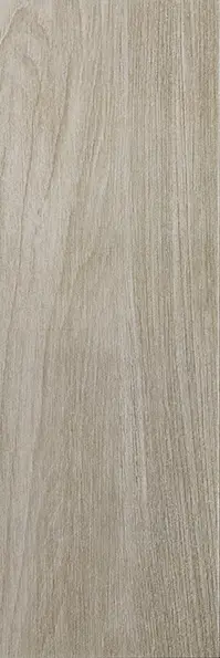 Y18310