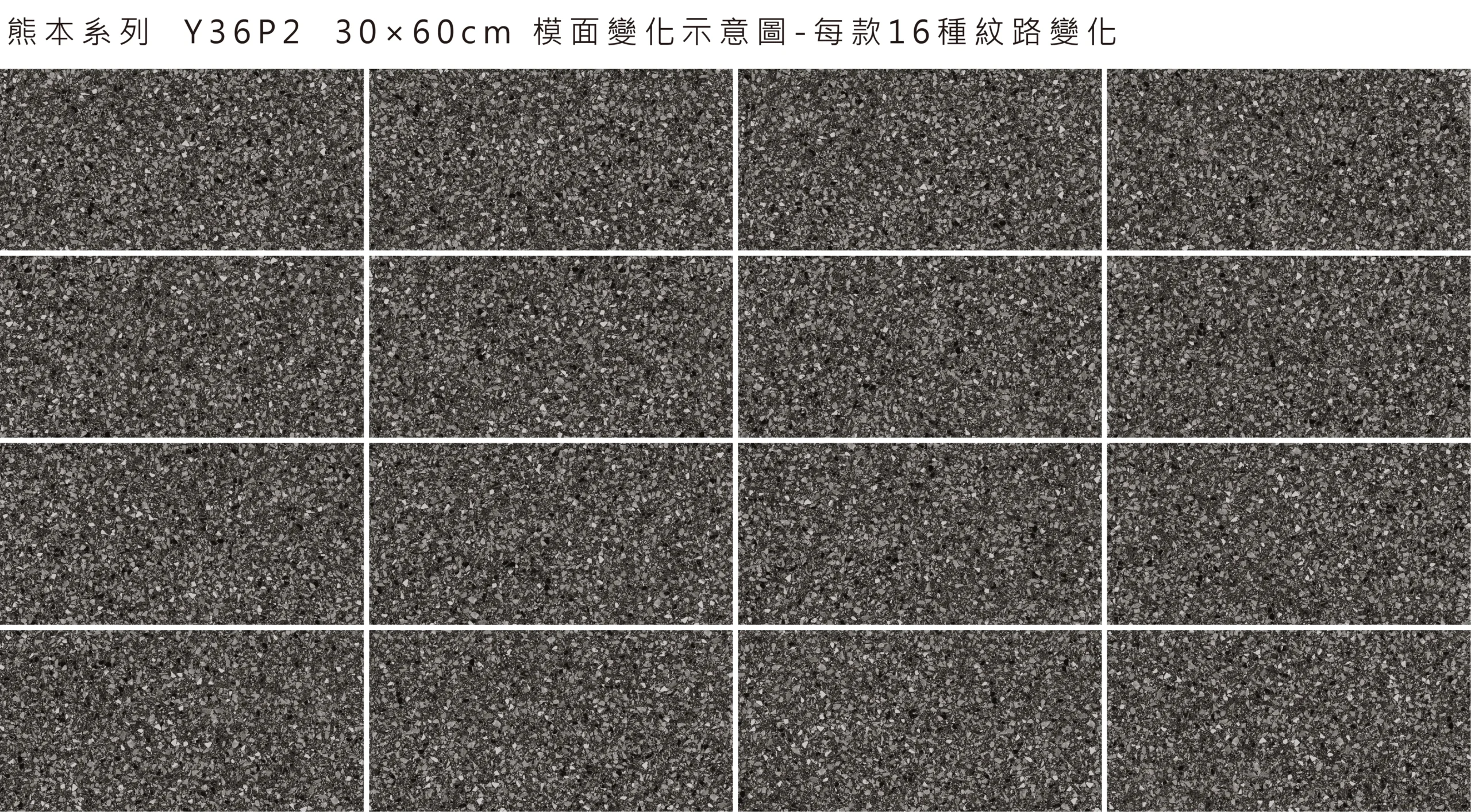 Y36P2(30*60)