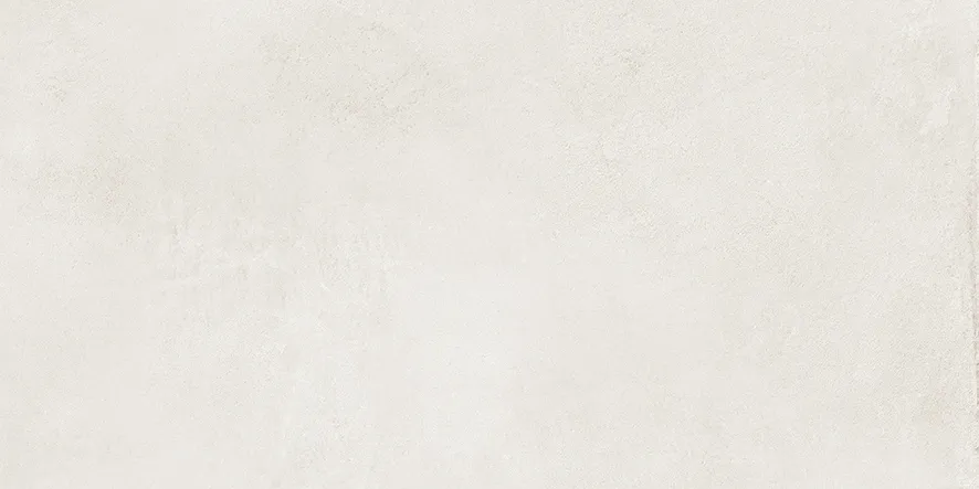 白 