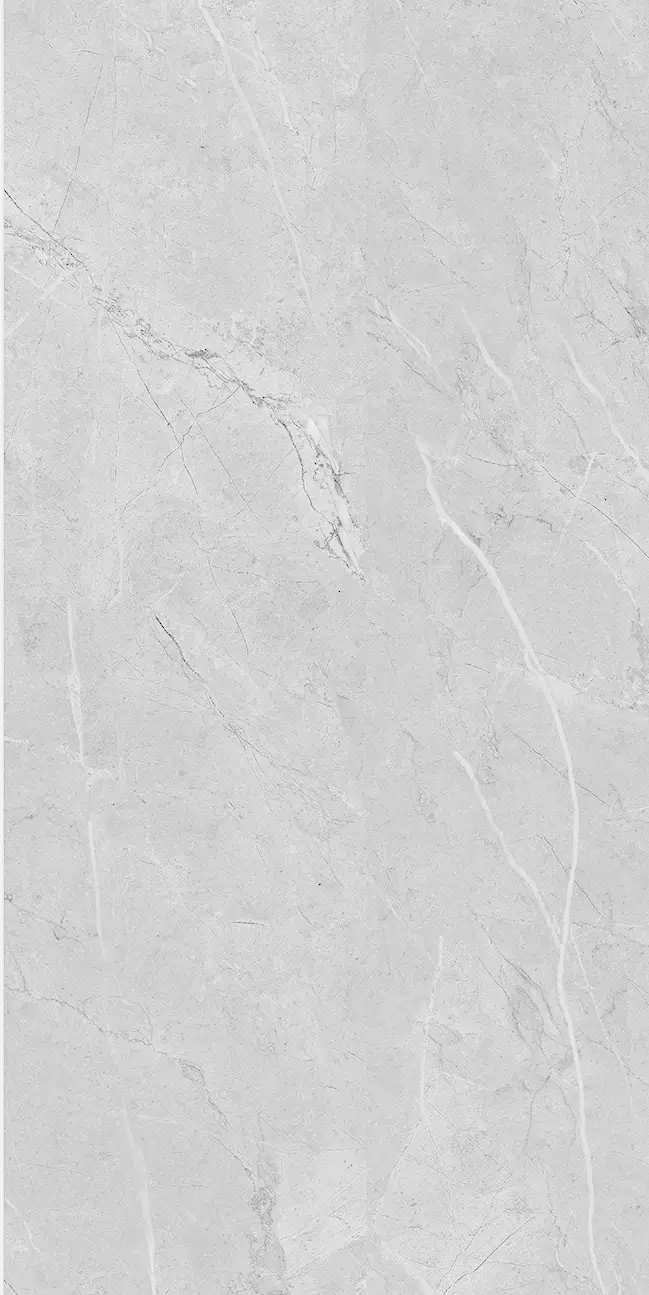Y032P3601M