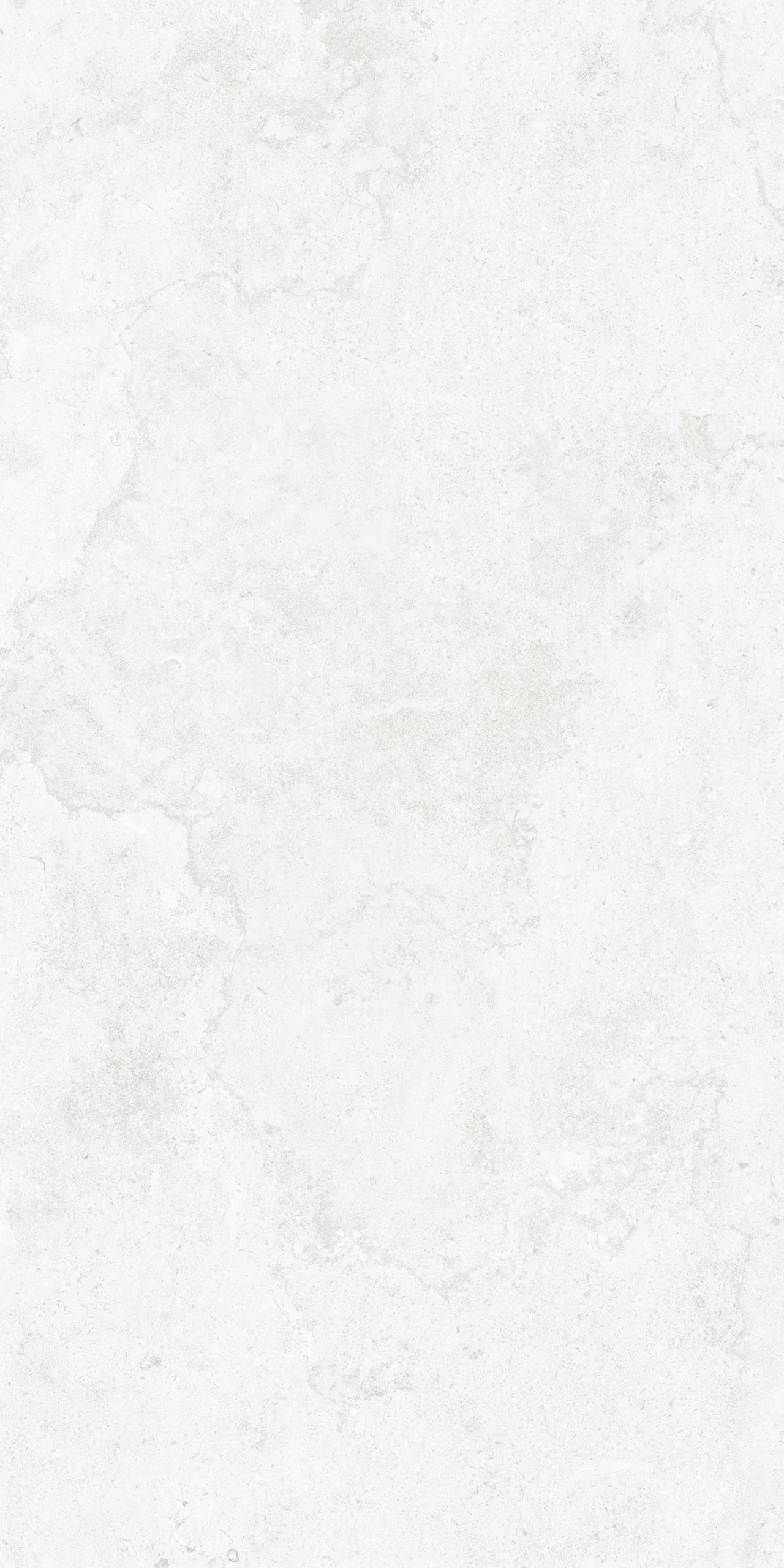 Y028STF-6101霧白(素)